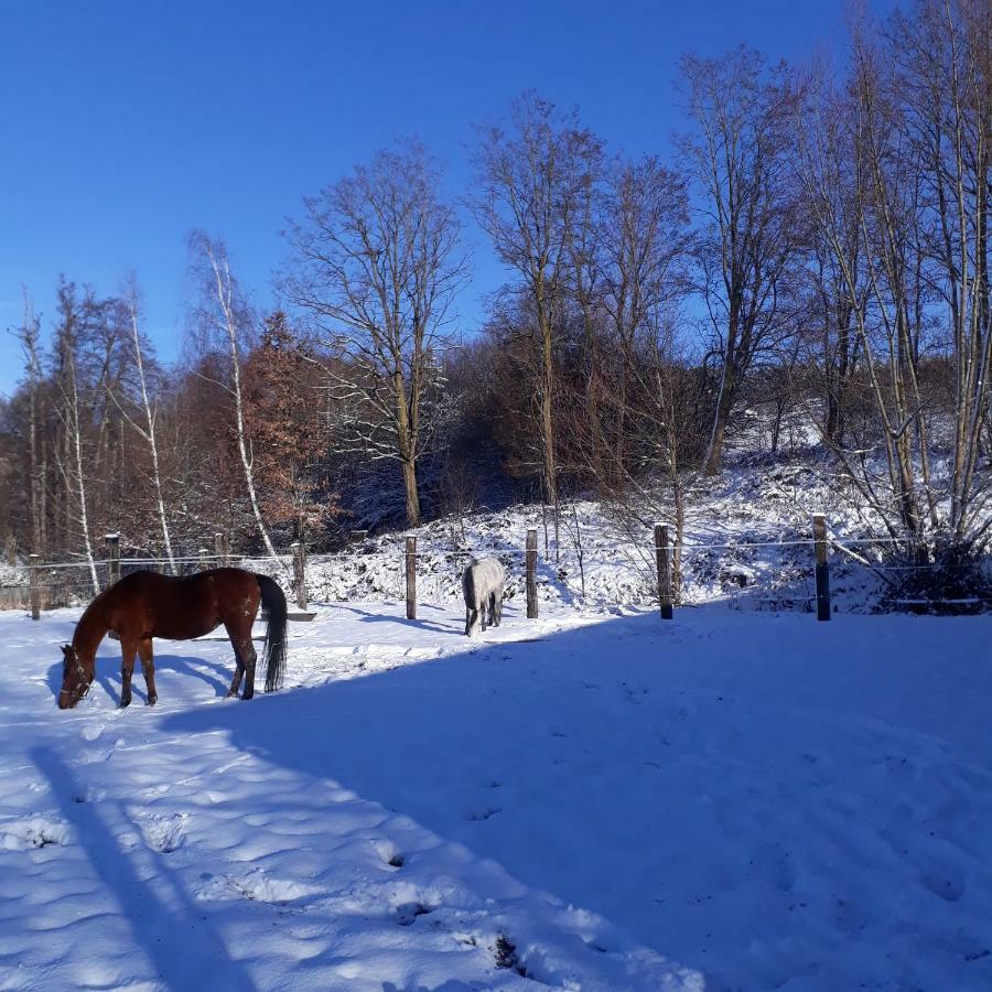 Le Gite Du Cheval Blanc Fraize Ngoại thất bức ảnh